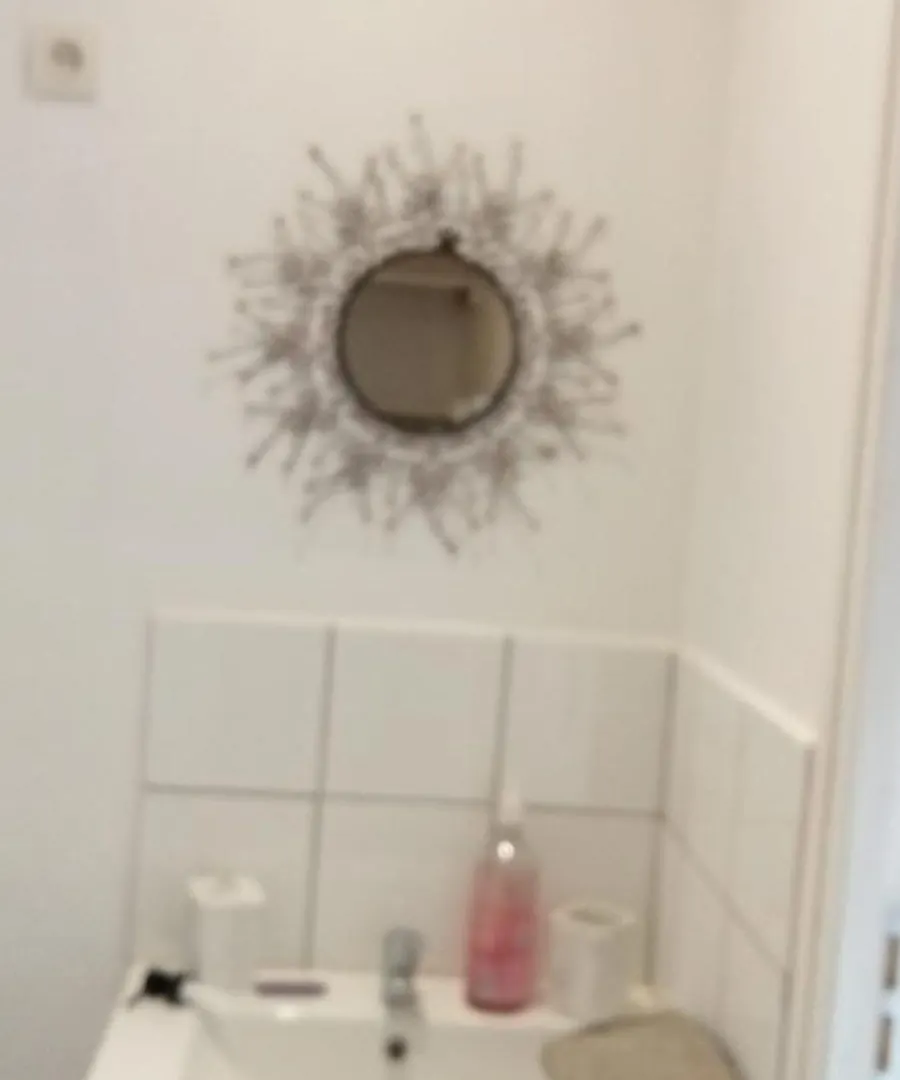 L'Oiseau Rieur Apartment Darbres